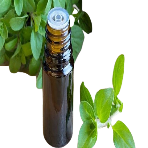 Marjoram Oil